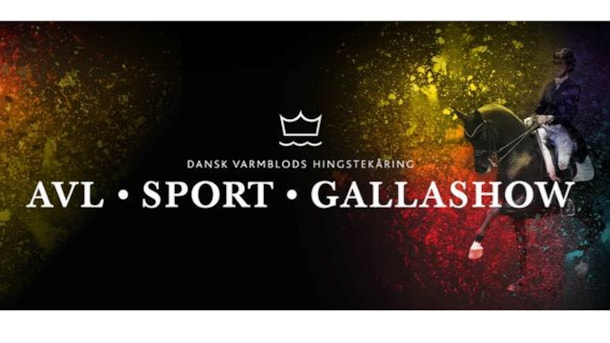 Danish Warmblood Stallion Awards
