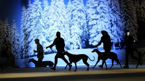Dansk Kennel Klub - Winter Wonder Show hundeudstilling