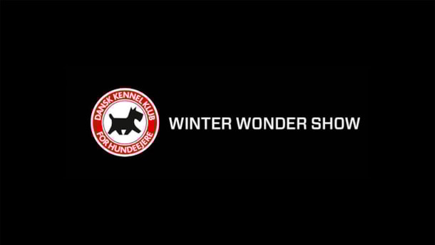 Winter Wonder Show