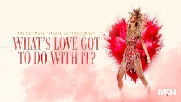What's Love Got to Do with it - Tina Turner Tribute Show
