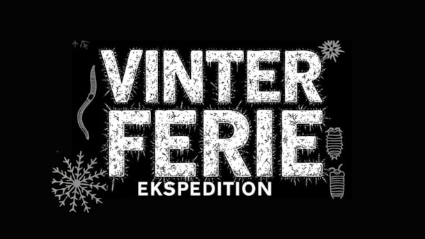 Vinterferieaktivitet - Deep Forest Art Land