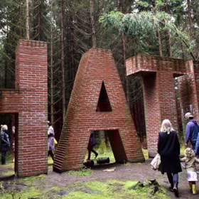 Deep Forest Art Land - Skovsnogen