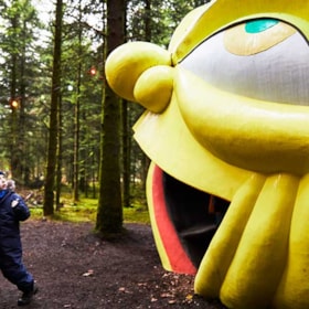Deep Forest Art Land - Skovsnogen
