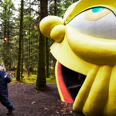 Deep Forest Art Land - Skovsnogen