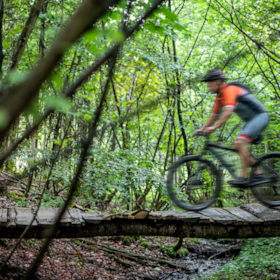 MTB-Strecke im Wald Bisgaardsskoven in Odder