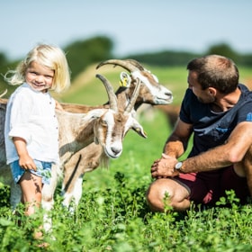 Farm Living Ged og Grønt