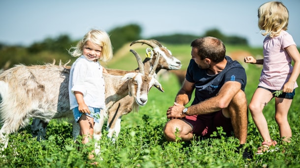 Farm Living Ged og Grønt