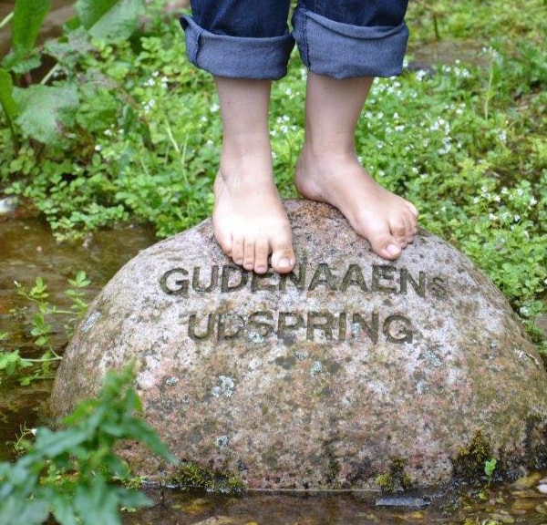 The source of the Gudenå