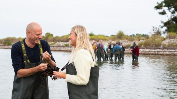 Tanggården - Seaweed farm & safari