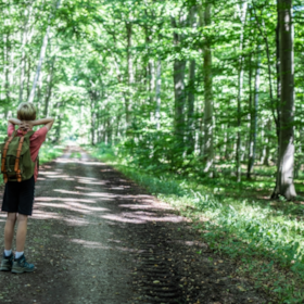 Stensballe Wald und "Berge"