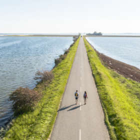 Der Fjordmino – Rund um den Horsens Fjord