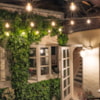 Woodland Guesthouse