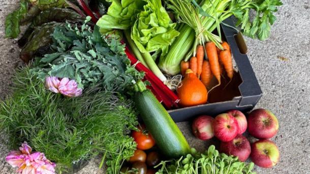 Strandgårdens Frugtplantage