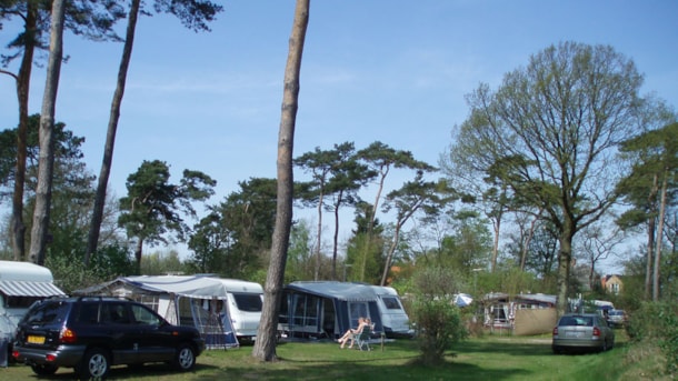 Køge & Vallø Camping