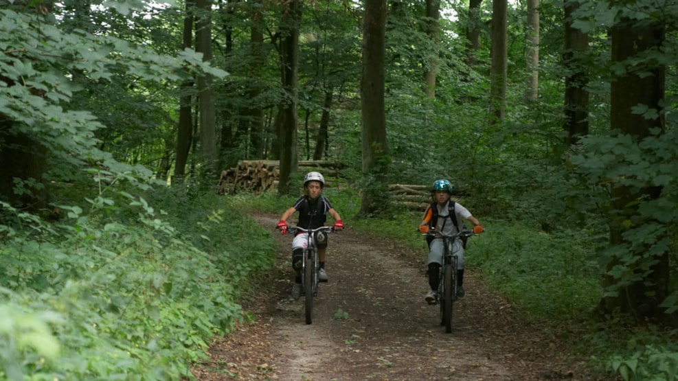 Køge River Path