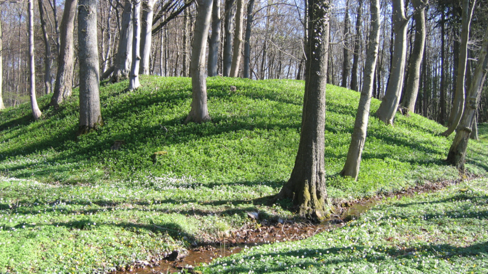 The Mounds of Kjærsgård