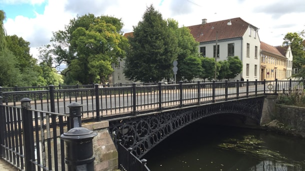 Frederik's Bridge