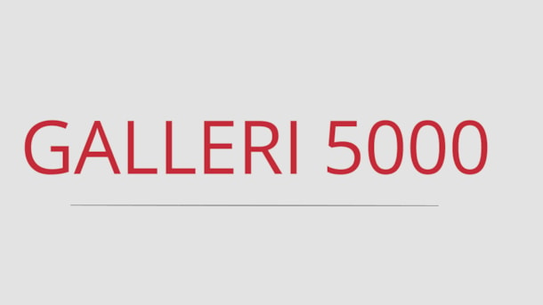 Galerie 5000 - privater Galerie