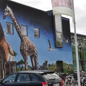 Wandgemälde bei Odense Zoo