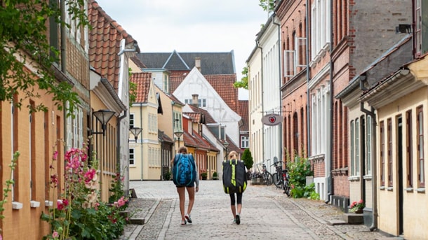Odenses historiske bydel