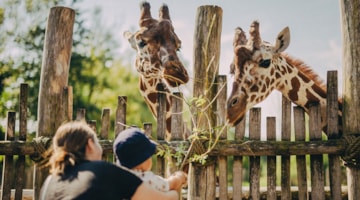 Odense ZOO - Zoological gardens