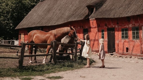 The Funen Village - Open Air Museum