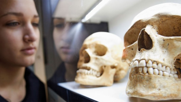 Exhibition: Funen – Centre of the World
