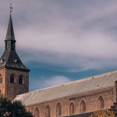 Odense Domkirke - Skt. Knuds Kirke