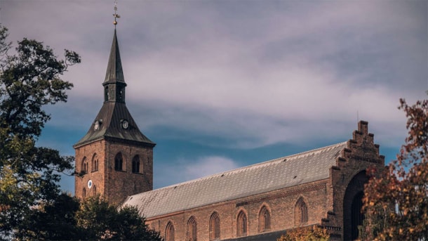 Sankt Knuds Kirche - Der Dom in Odense 