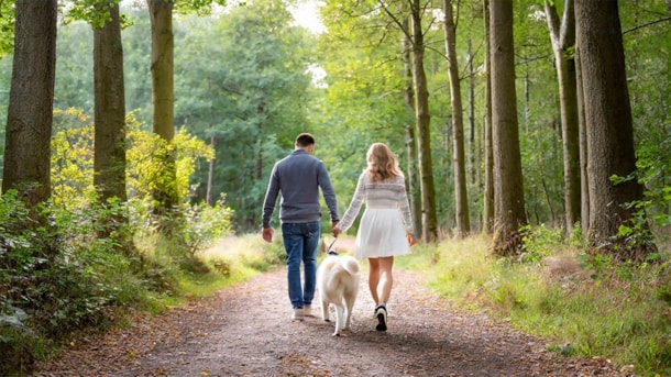 Lolas Lund - off-leash dog park