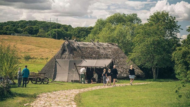 Odin's Odense - Iron Age and Viking Age
