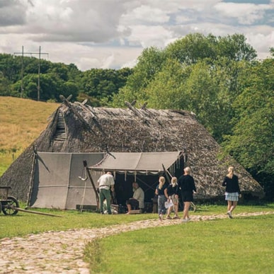 Odin's Odense - Iron Age and Viking Age