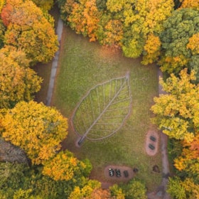 Fruens Bøge Skov (Wald)