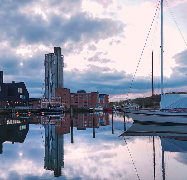 ROA Street Art at Odense Harbour