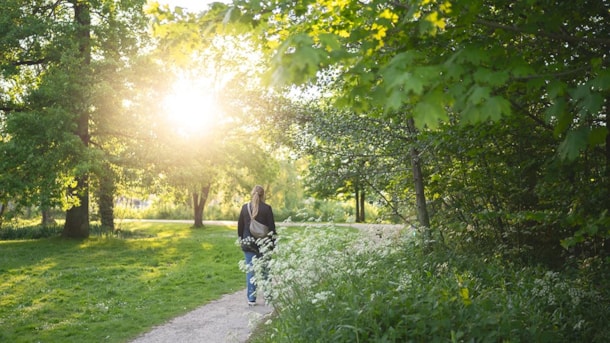 Vandreruten Åstien i Odense