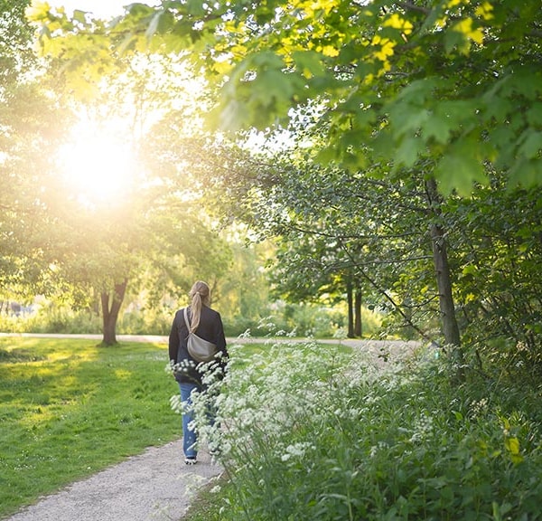 Hiking route Åstien in Odense