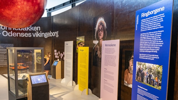 Udstilling: Odenses Vikingeborg