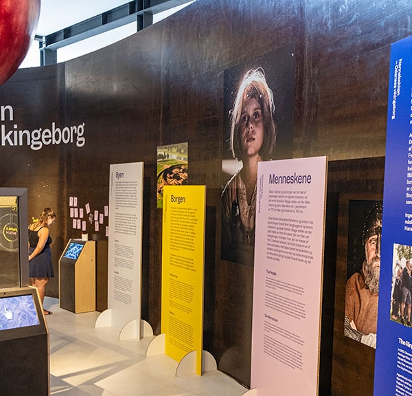 Udstilling: Odenses Vikingeborg