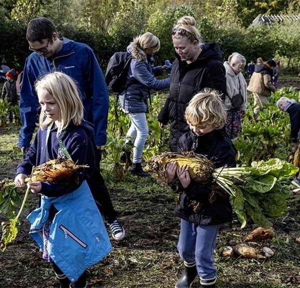 Herbsturlaub im fünischen Dorf