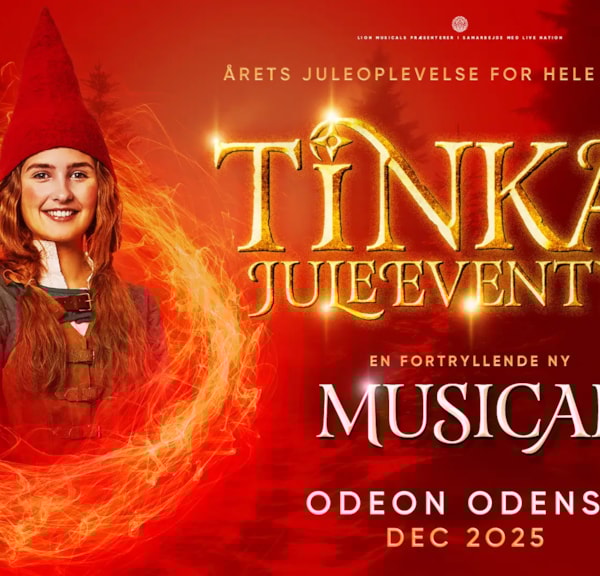 Tinka's Christmas adventure - a magical musical