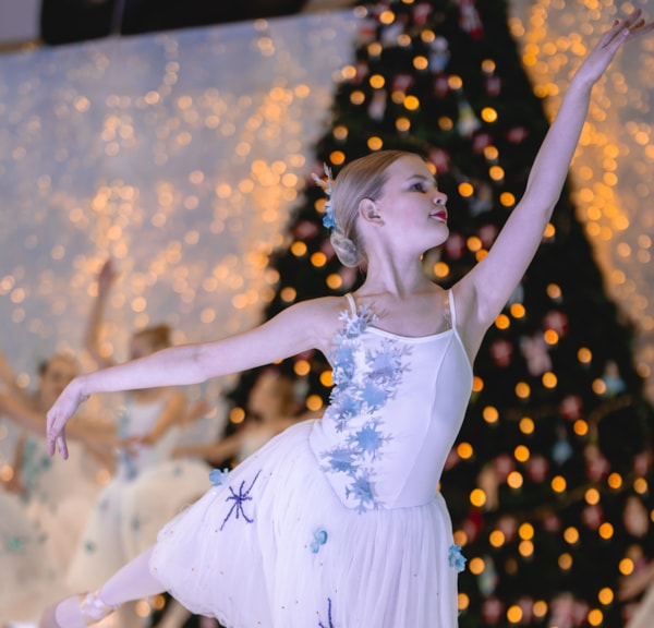 THE CHRISTMAS HEART – What a Heart Can Hold