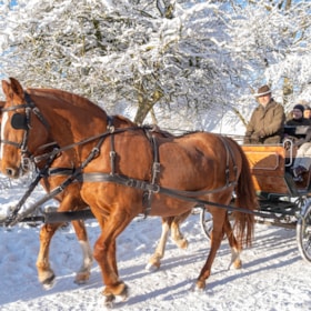 Christmas in the Funen Village