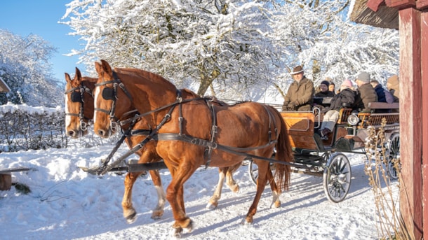 Jul i Den Fynske Landsby