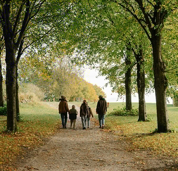 The Viking Route in Odense