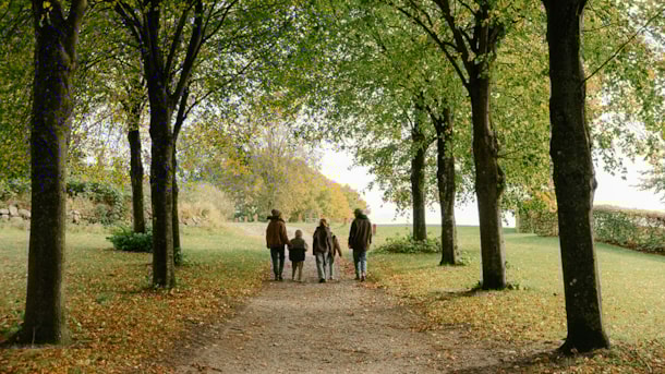 The Viking Route in Odense