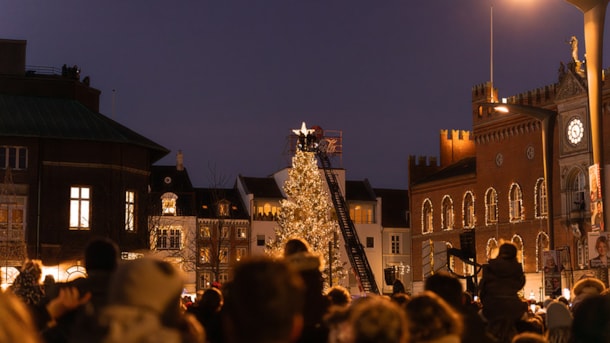 Switching on the City Christmas Tree