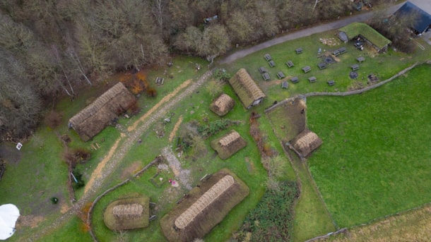 Odins Odense - Eisenzeit und Wikingerzeit
