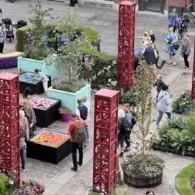 15. Tee: Blomsterfestival