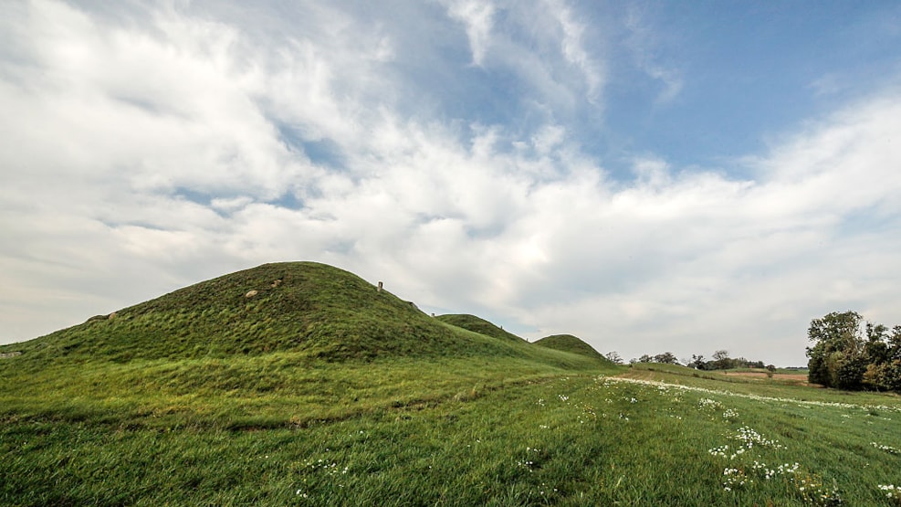 Dutterhøje Burial Mounds