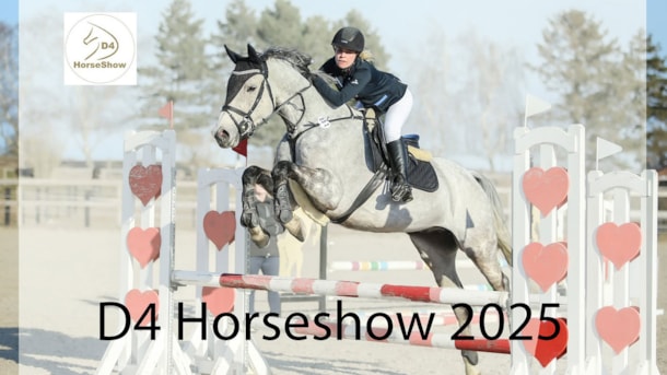 D4 Horseshow